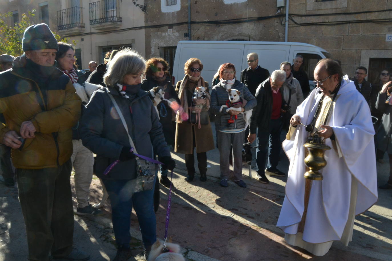 Ciudad Rodrigo comienza las bendiciones de San Antón