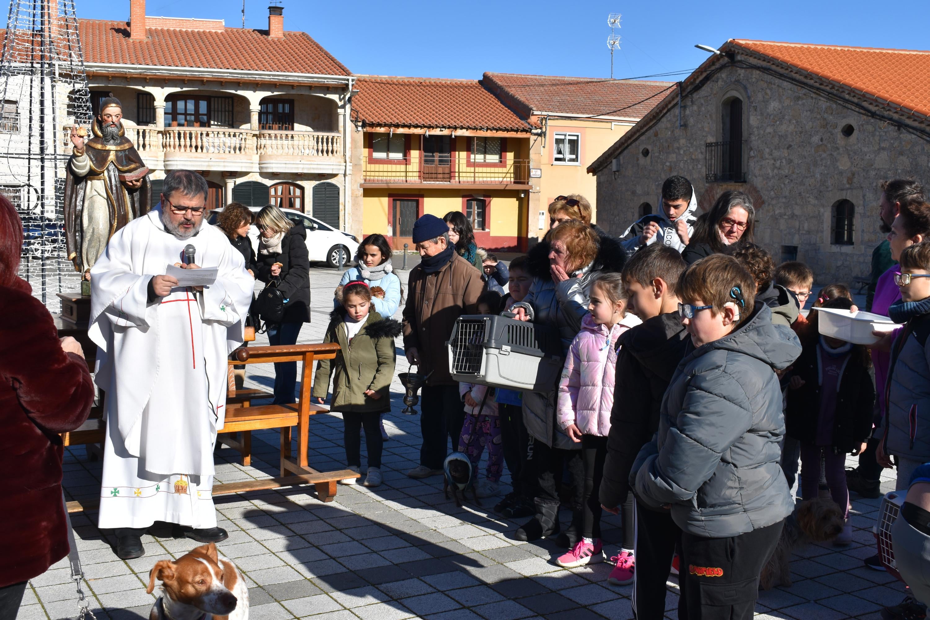 Gallos, tortugas, agapornis y una cobaya reciben la bendición de San Antón en Calzada de Valdunciel