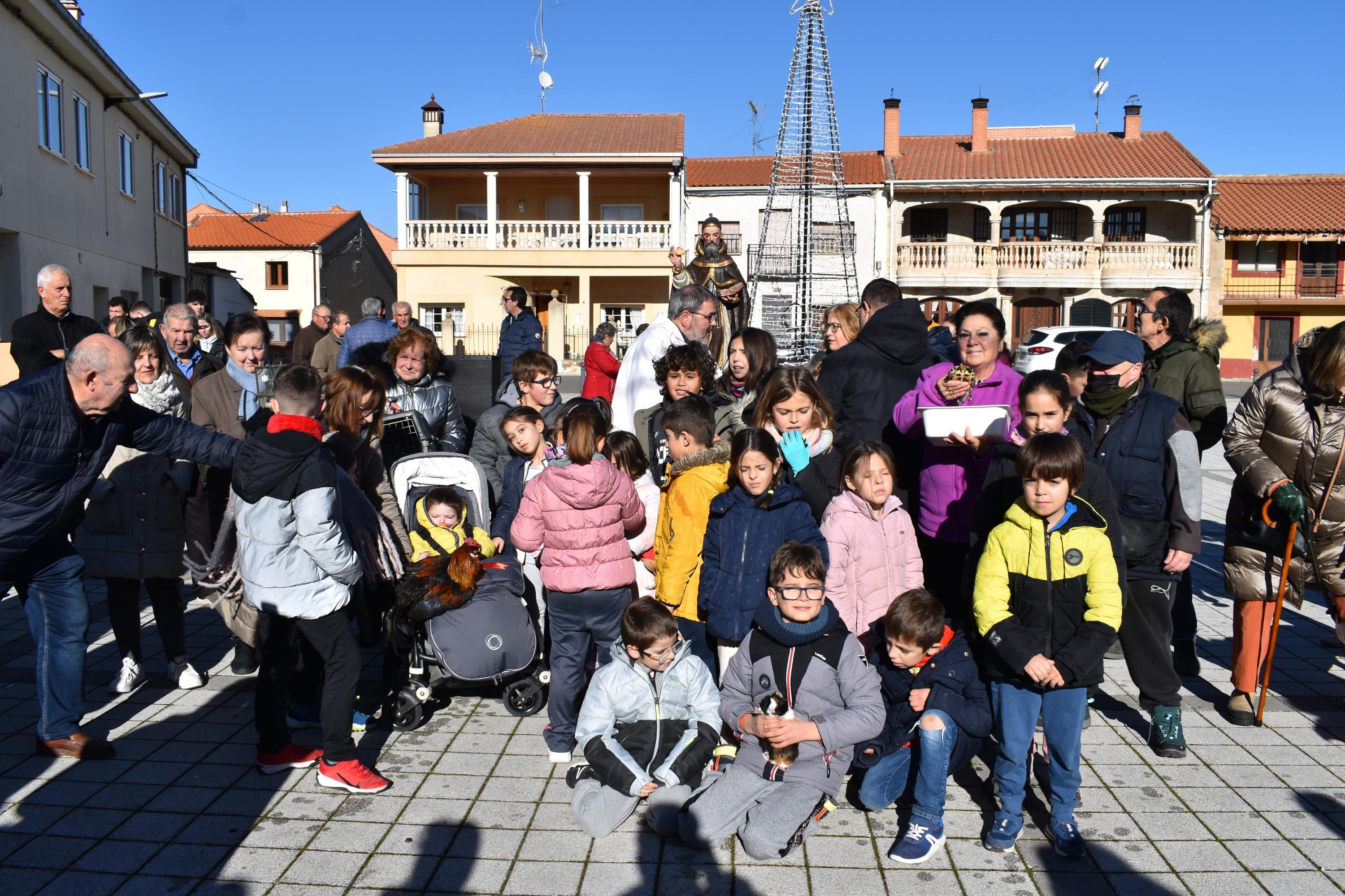 Gallos, tortugas, agapornis y una cobaya reciben la bendición de San Antón en Calzada de Valdunciel