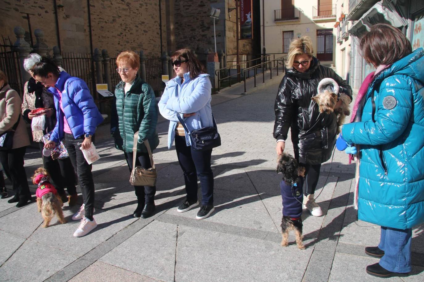 Bendición de San Antón y bocados de los tradicionales «bodigos» en Alba