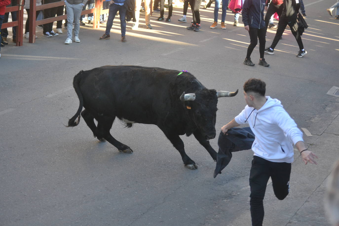 Bonita tarde taurina en Ciudad Rodrigo