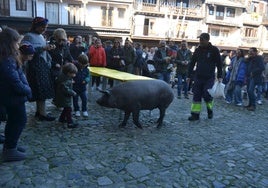 Antón paseando por última vez por La Alberca