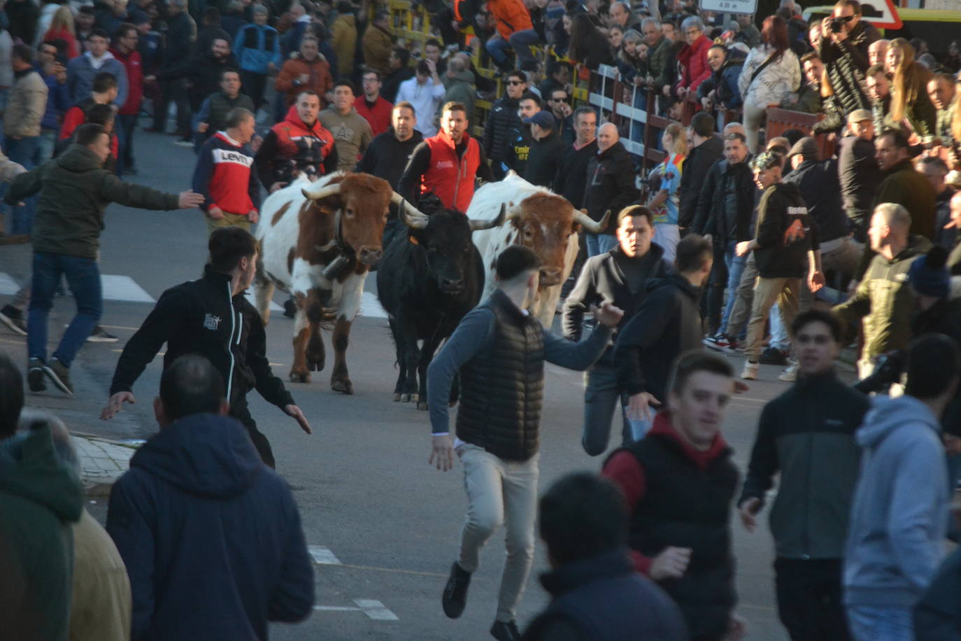 Bonita tarde taurina en Ciudad Rodrigo