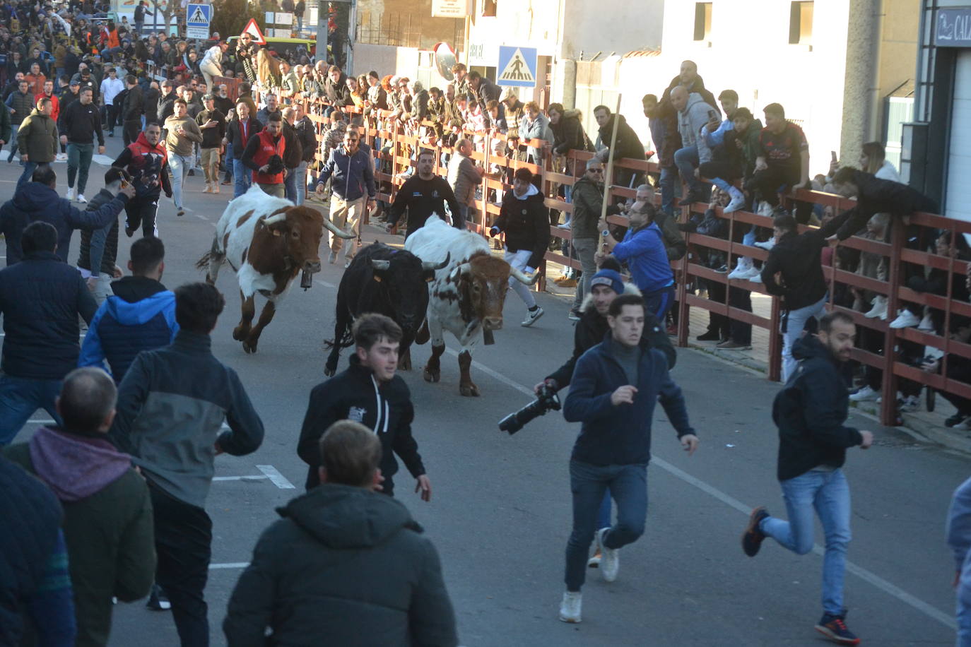 Bonita tarde taurina en Ciudad Rodrigo