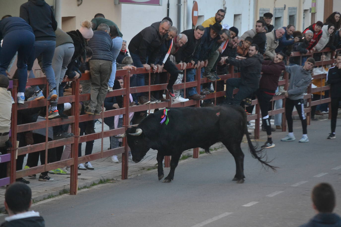 Bonita tarde taurina en Ciudad Rodrigo