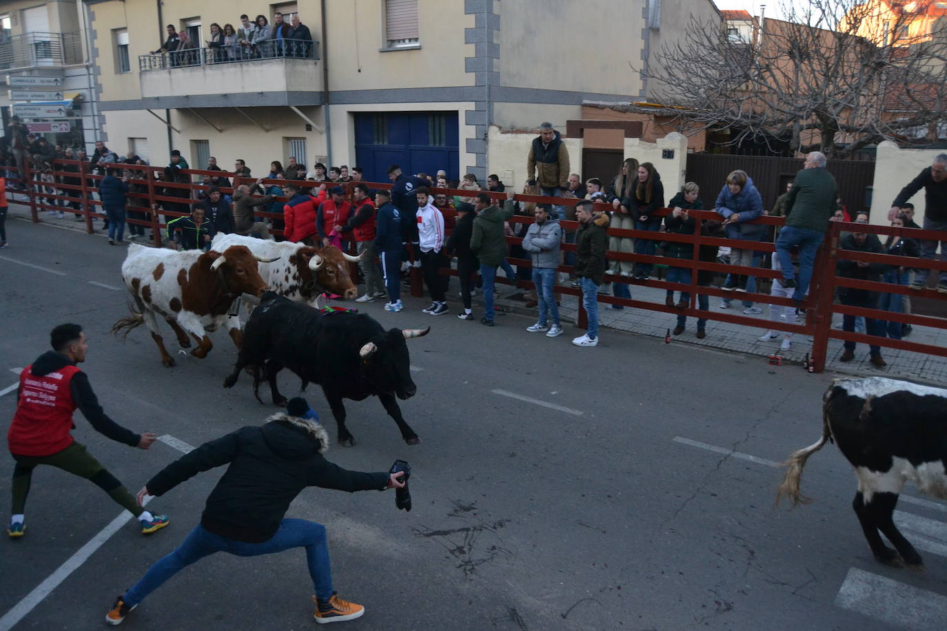 Bonita tarde taurina en Ciudad Rodrigo