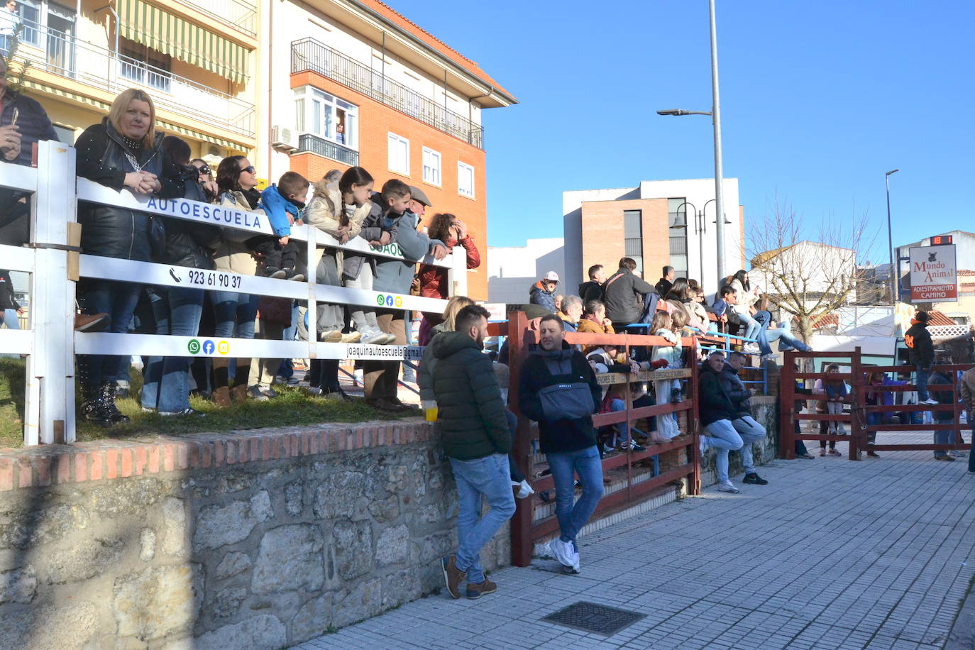 Bonita tarde taurina en Ciudad Rodrigo