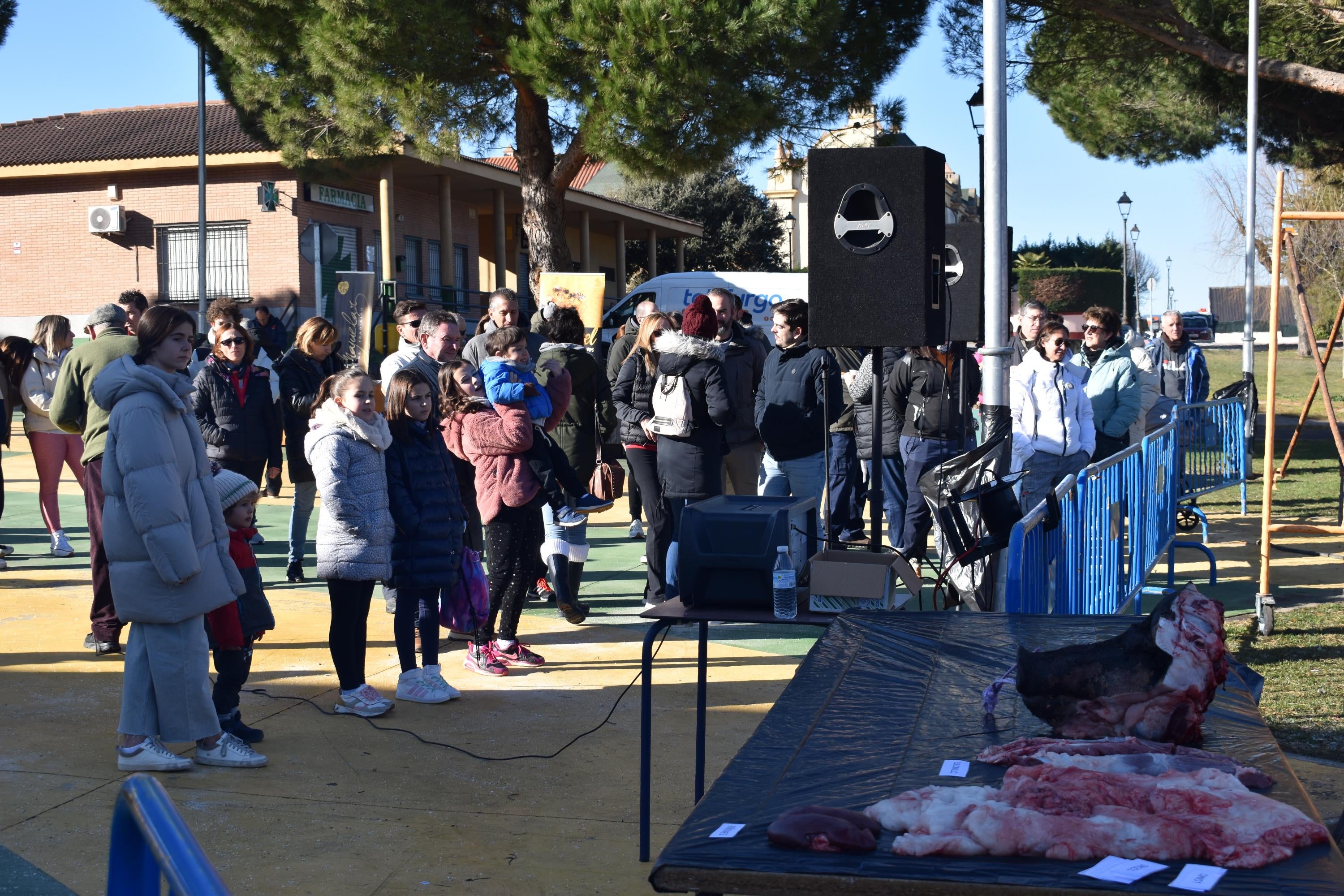 300 kilos de cerdo en la matanza de Carrascal de Barregas