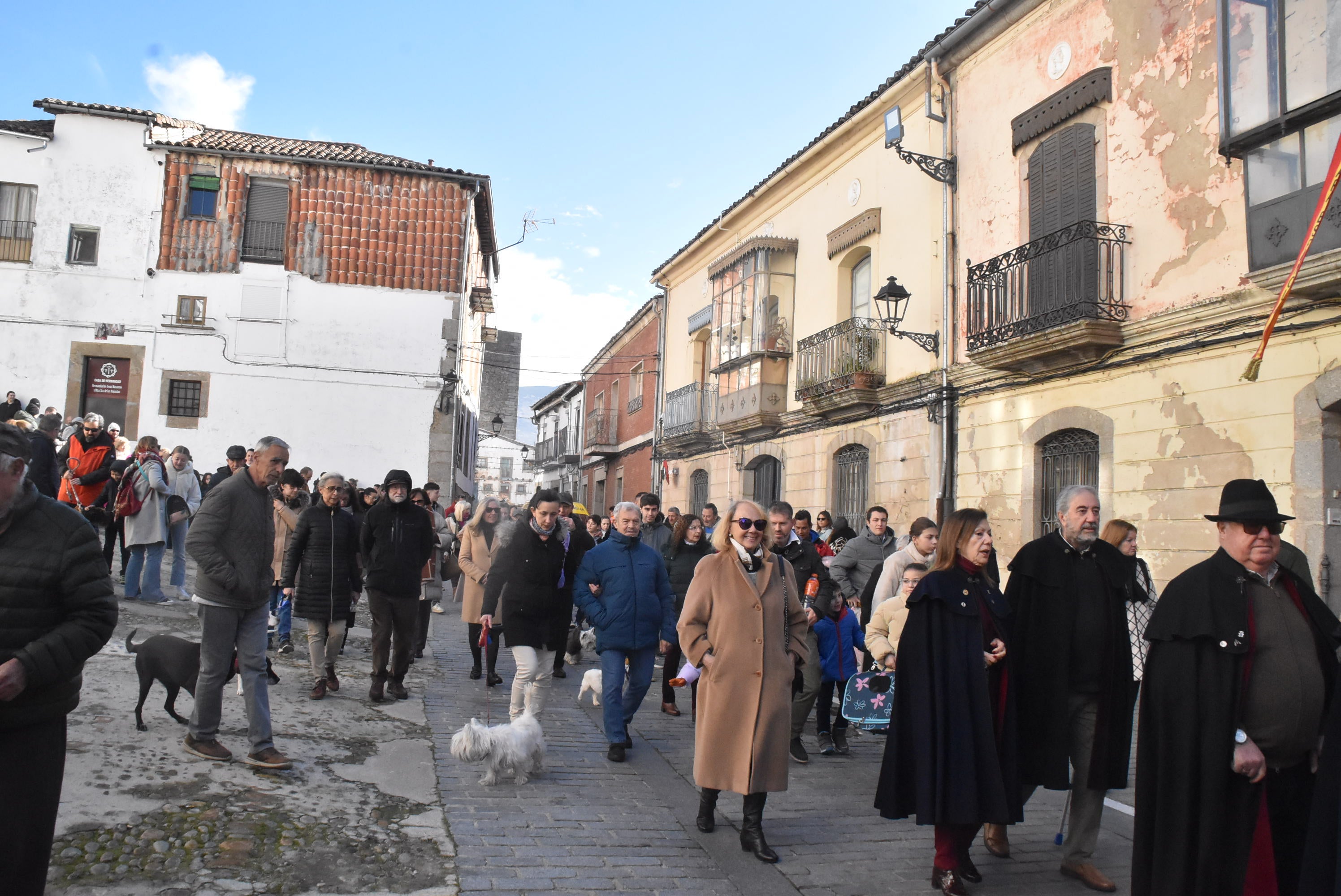 San Antón renueva la protección a los animales en Béjar