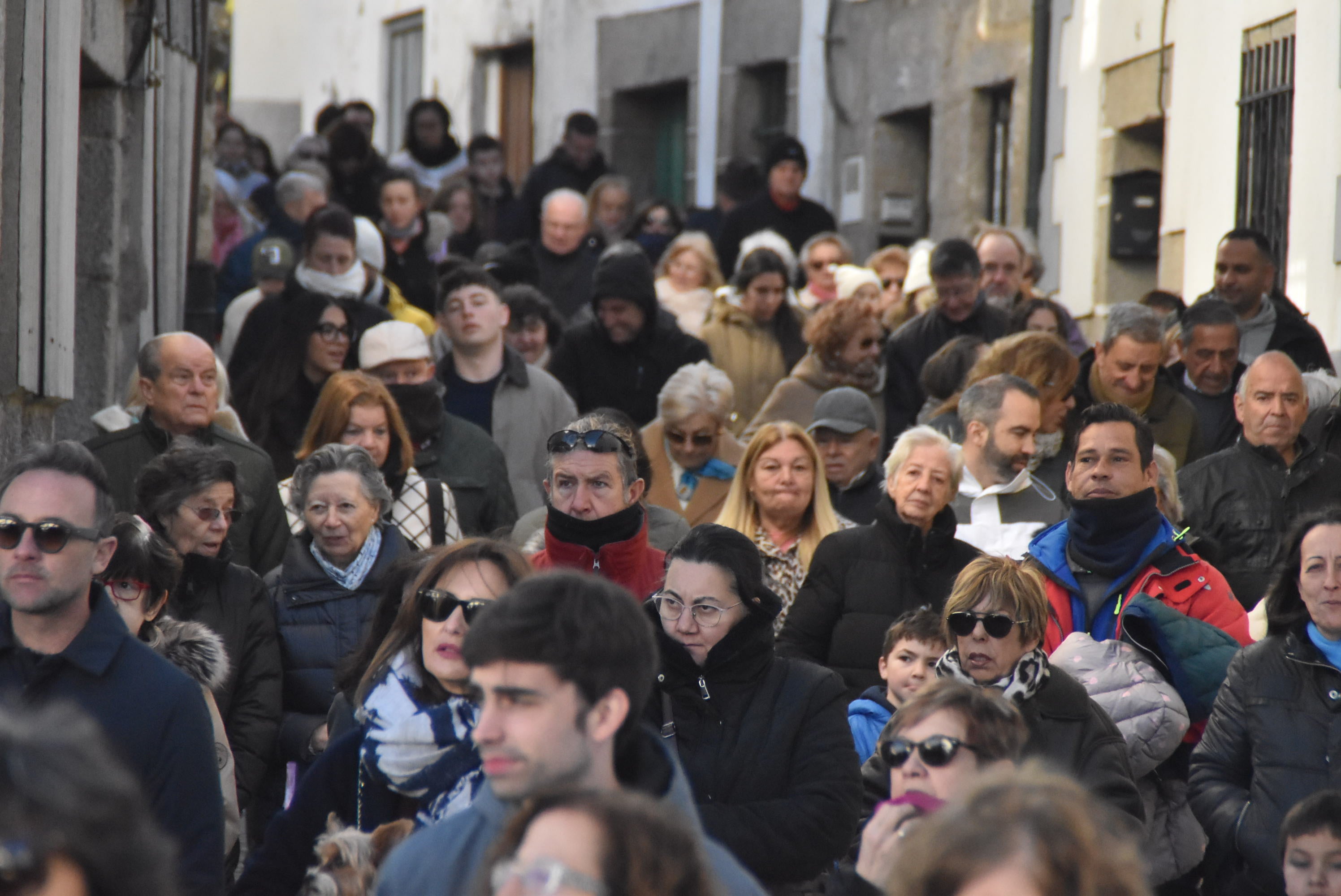 San Antón renueva la protección a los animales en Béjar