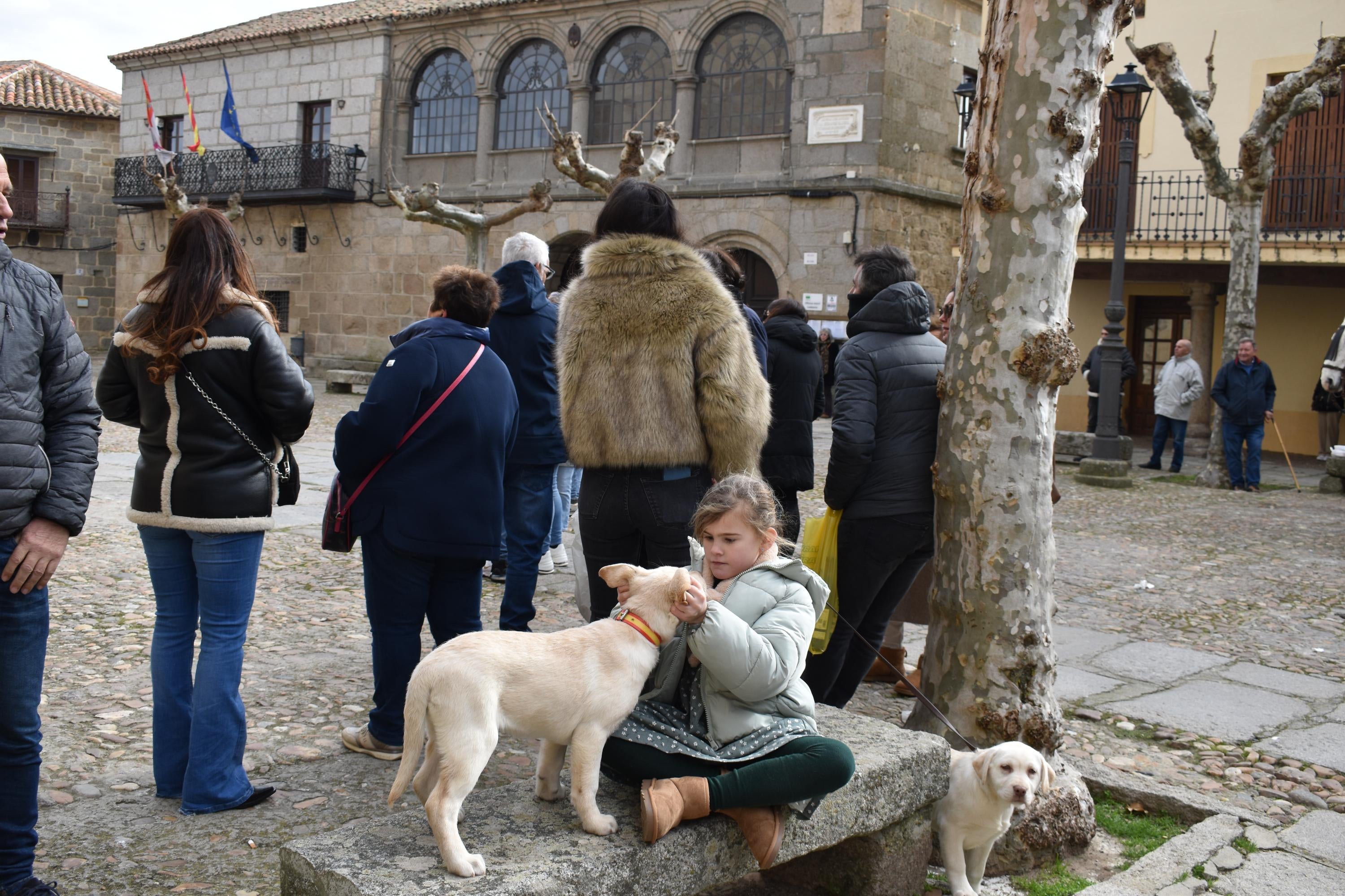 Gallos por 53 euros o una garrafa de aceite por 59: así ha sido la subasta de San Antón en Ledesma