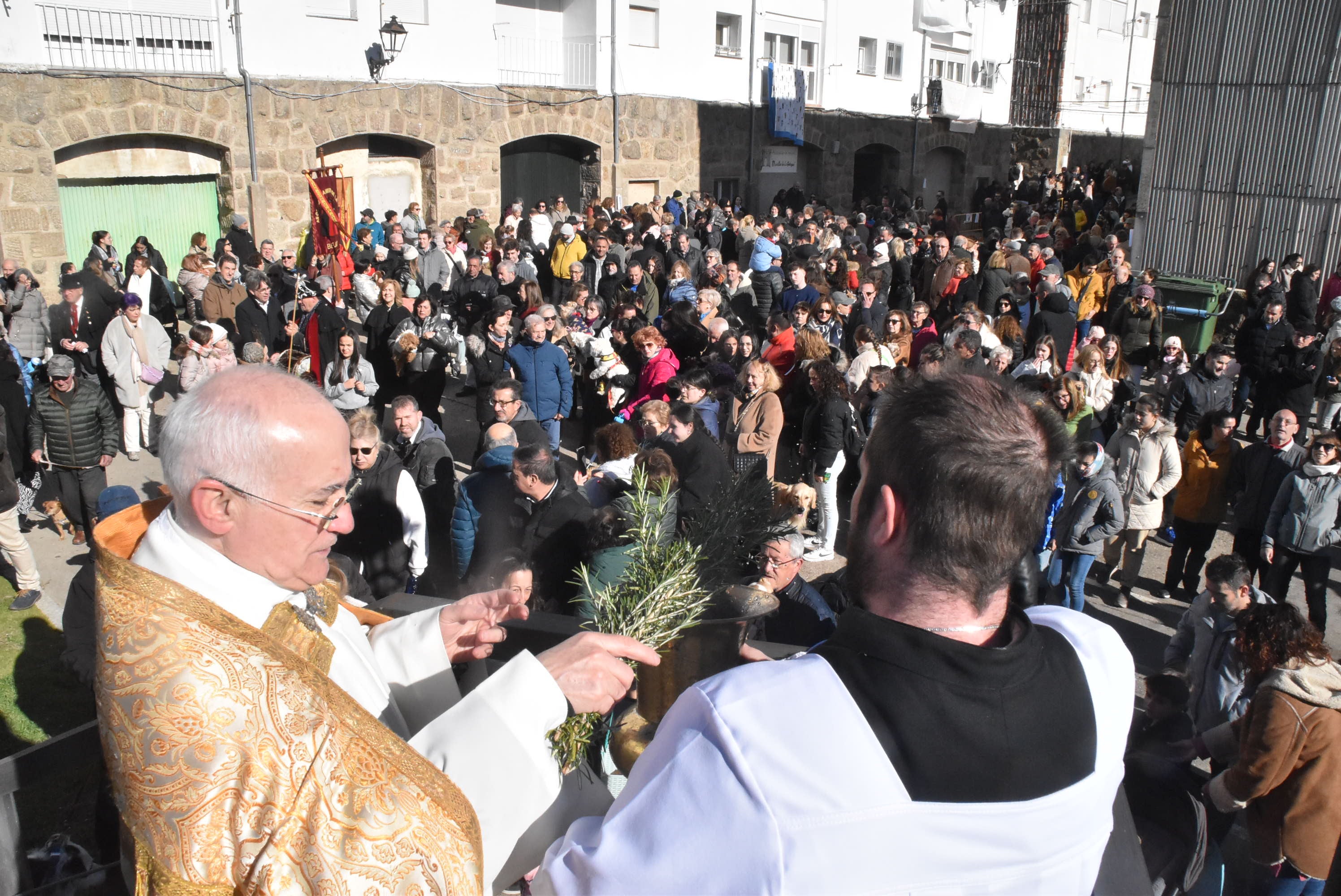 San Antón renueva la protección a los animales en Béjar