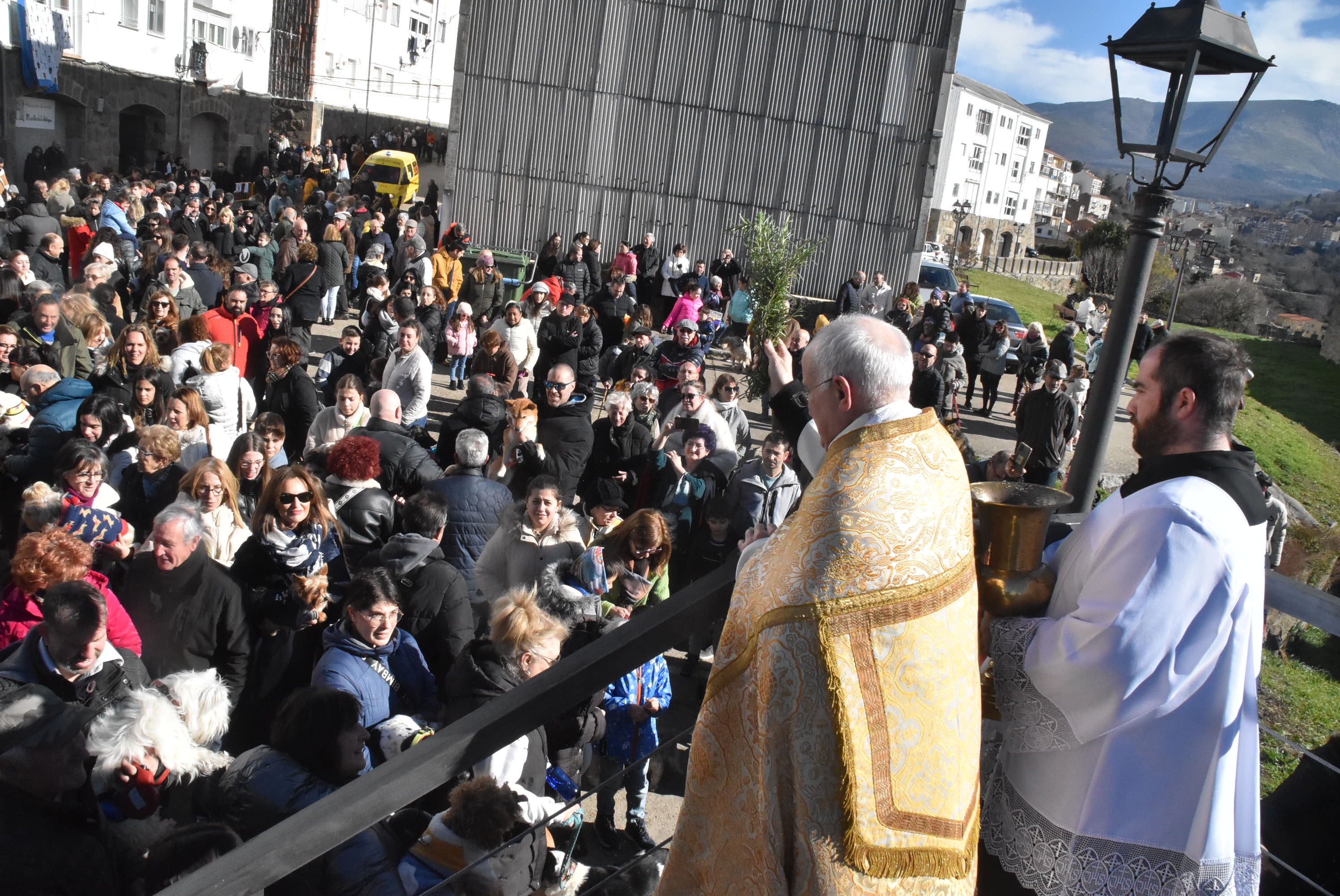 San Antón renueva la protección a los animales en Béjar