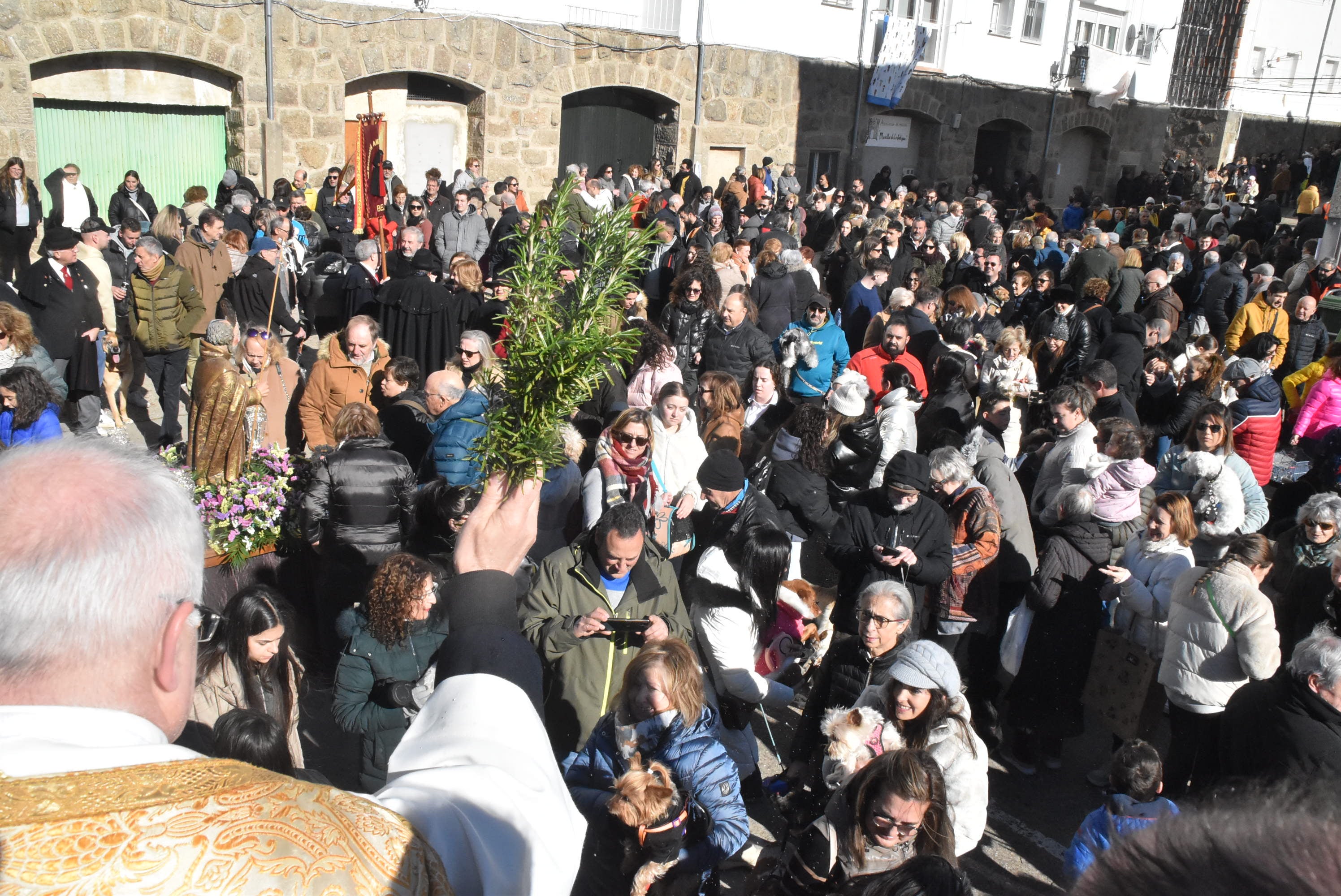 San Antón renueva la protección a los animales en Béjar