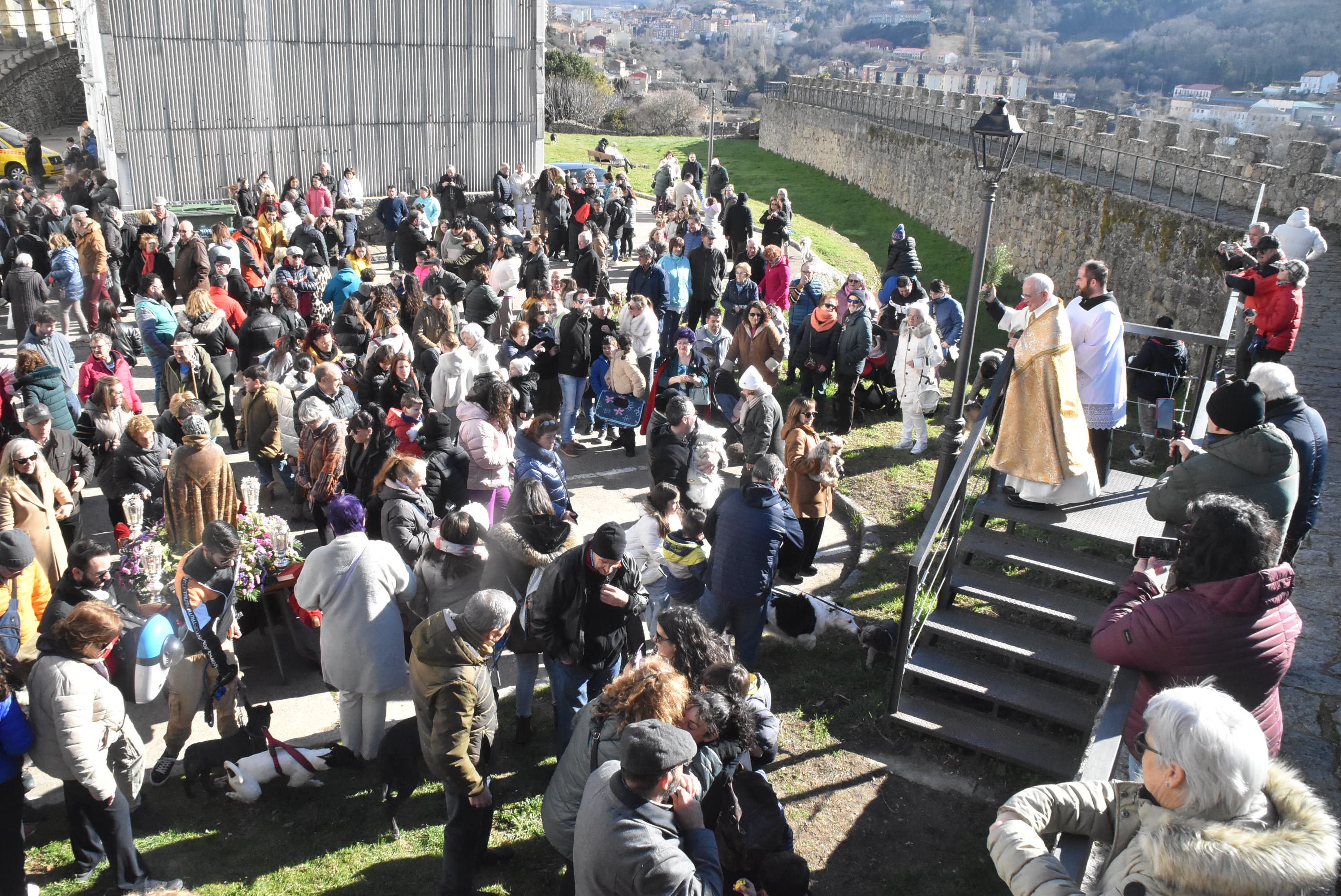 San Antón renueva la protección a los animales en Béjar