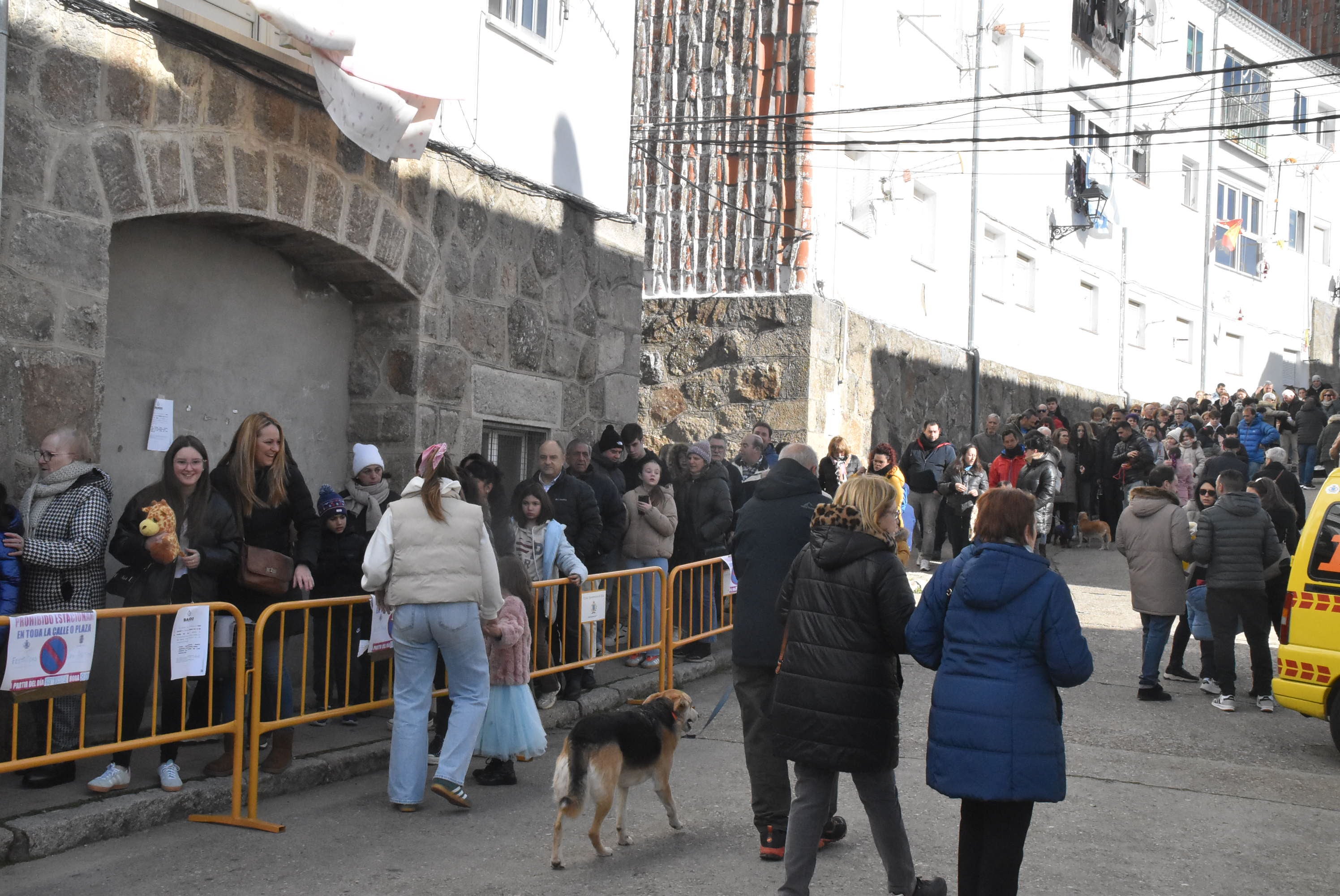 San Antón renueva la protección a los animales en Béjar