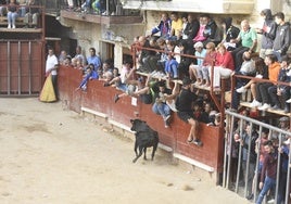 Encierro durante las fiestas estivales de Aldeadávila de la Ribera.