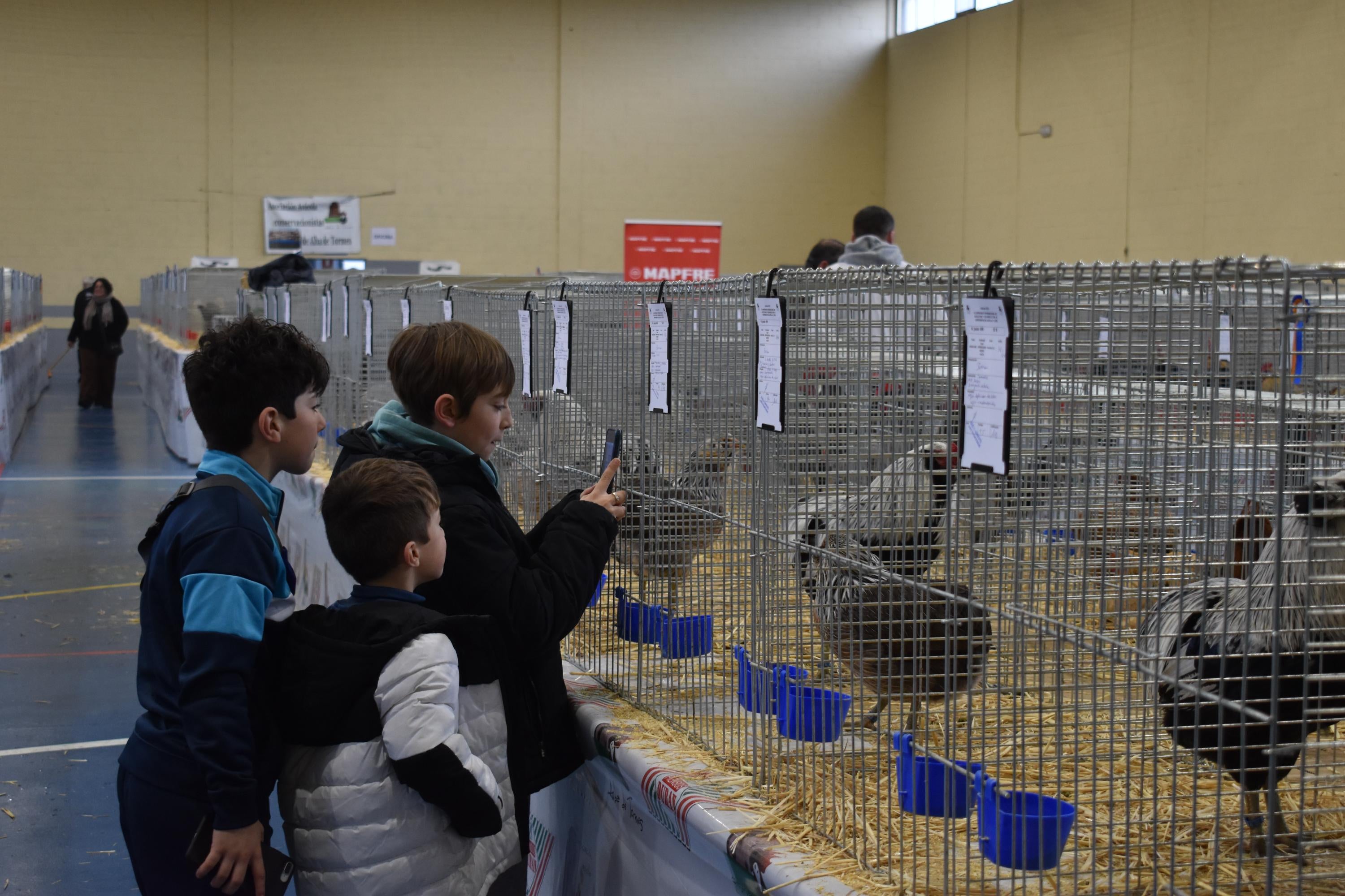 Así son las gallinas, palomas y conejos que seducen al público de Ledesma