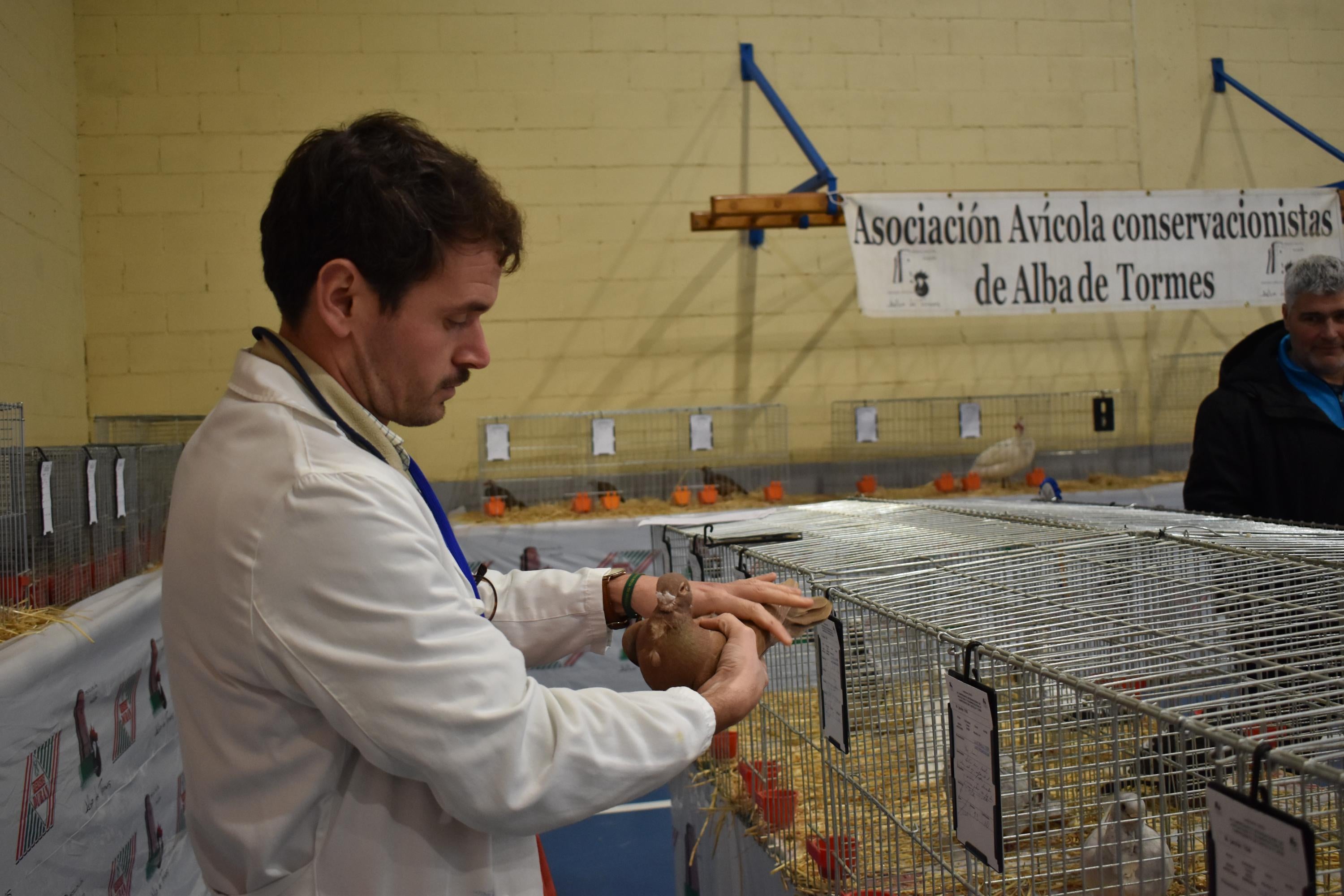 Así son las gallinas, palomas y conejos que seducen al público de Ledesma