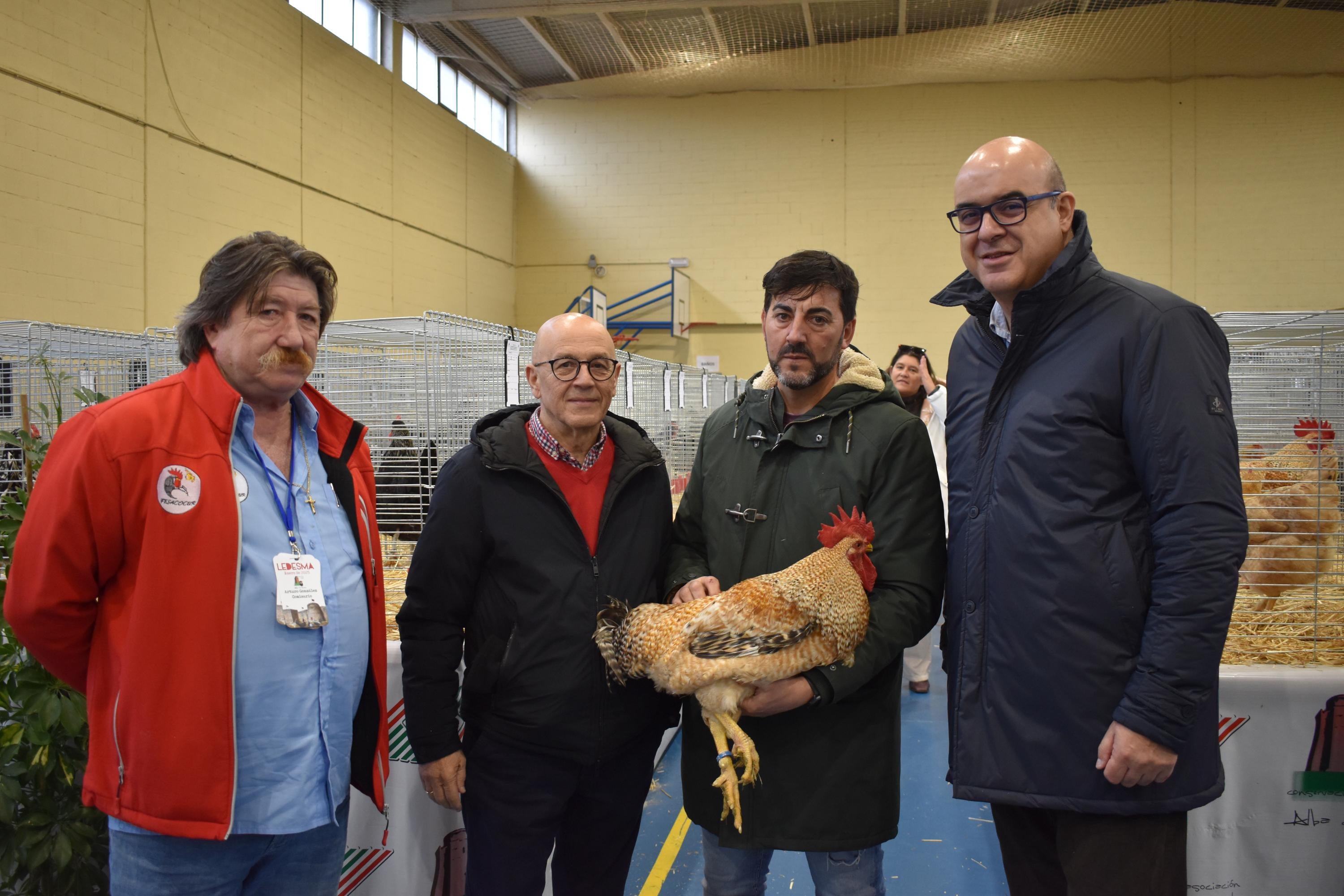 Así son las gallinas, palomas y conejos que seducen al público de Ledesma