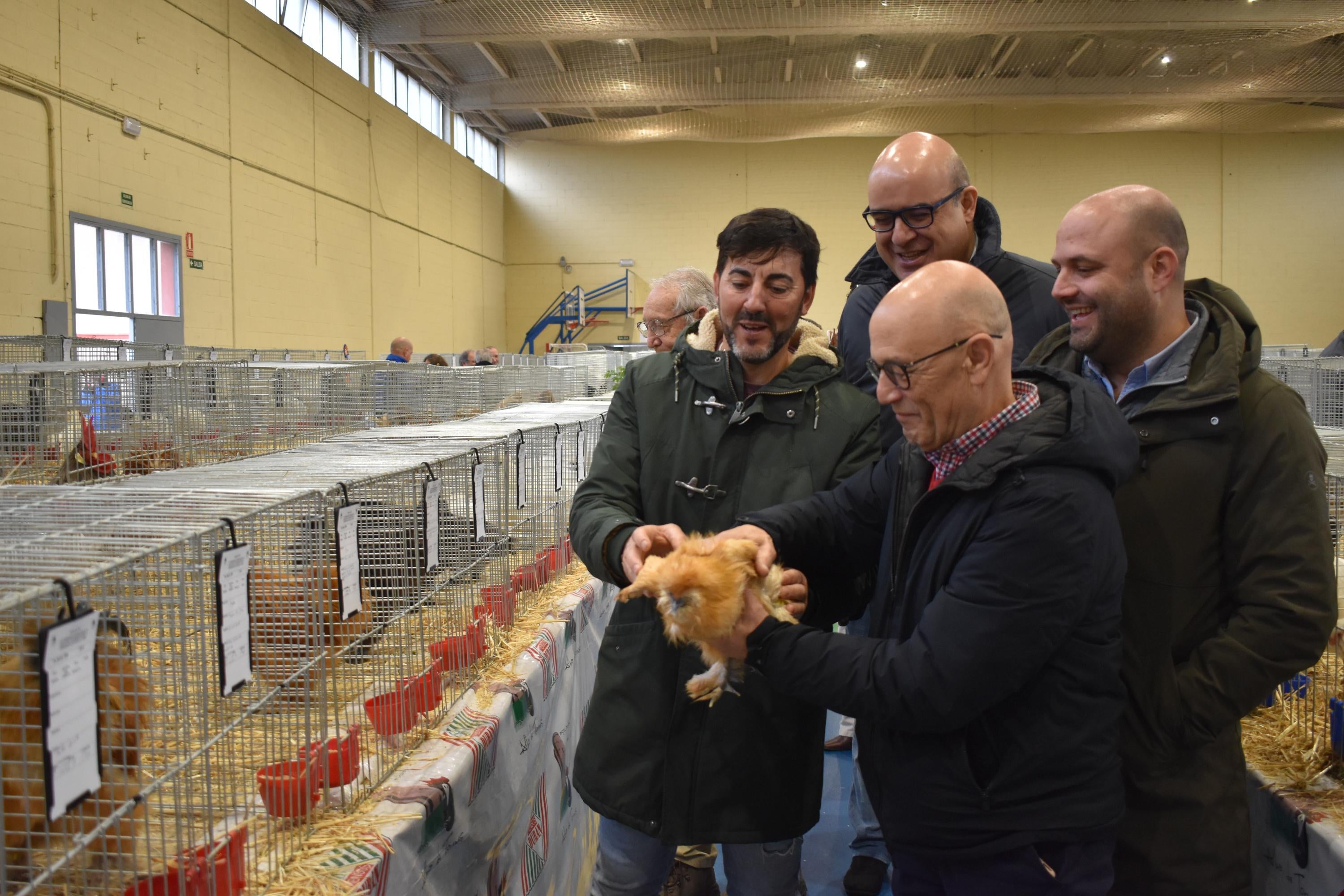 Así son las gallinas, palomas y conejos que seducen al público de Ledesma