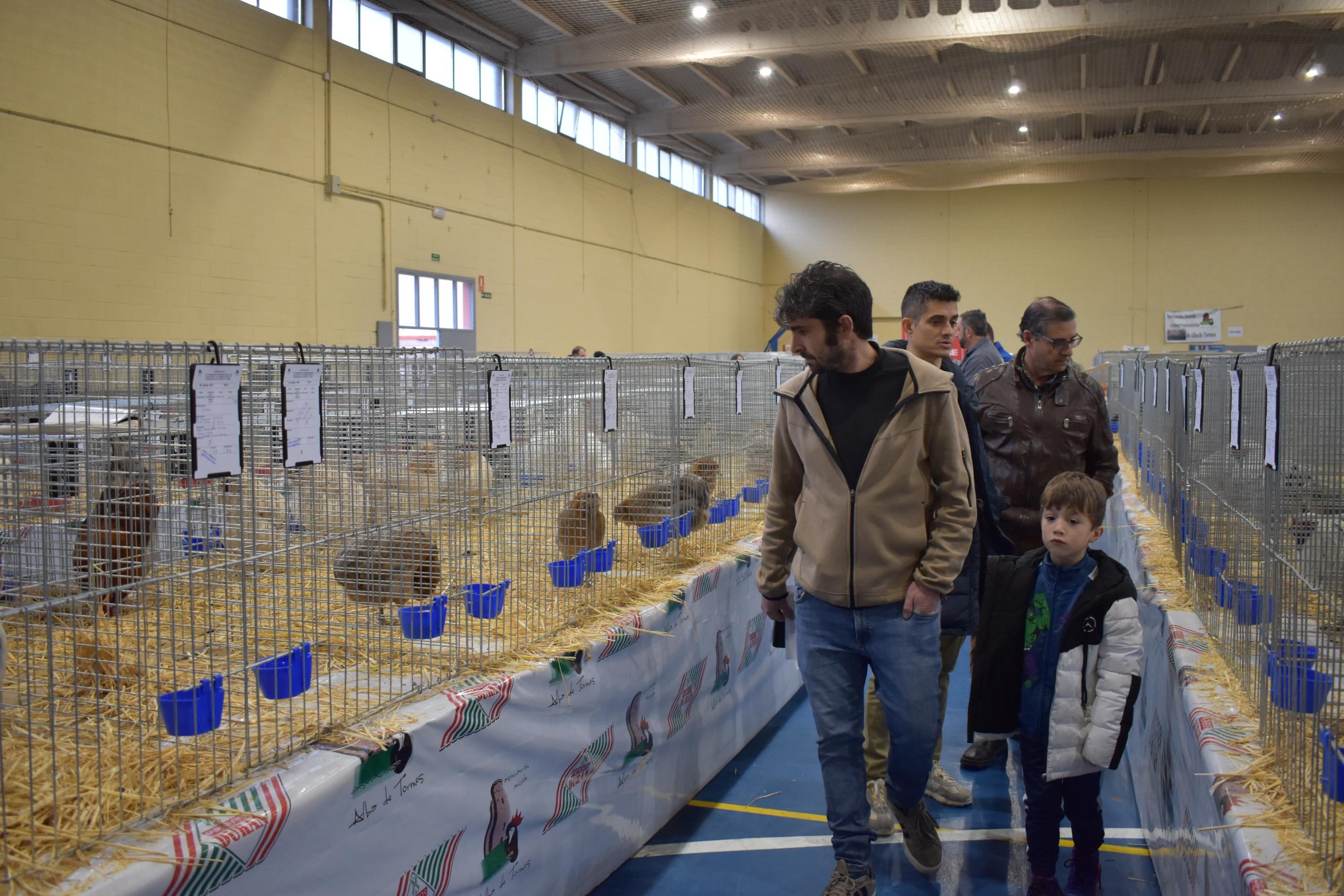 Así son las gallinas, palomas y conejos que seducen al público de Ledesma