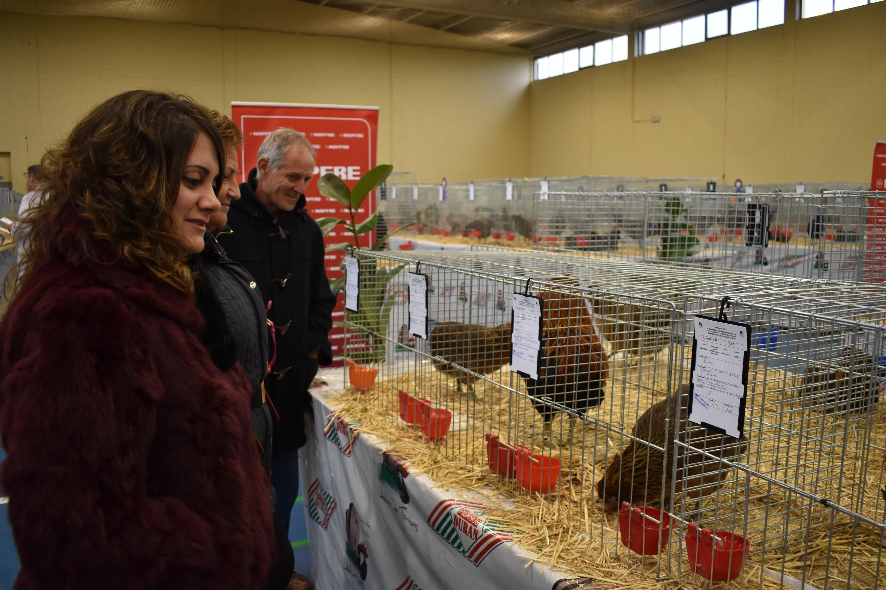 Así son las gallinas, palomas y conejos que seducen al público de Ledesma