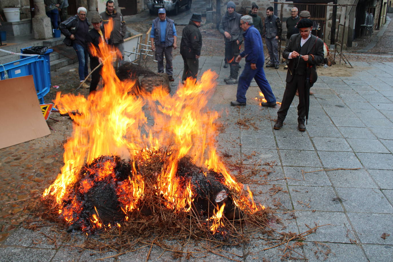 San Esteban de la Sierra disfruta de su matanza tradicional