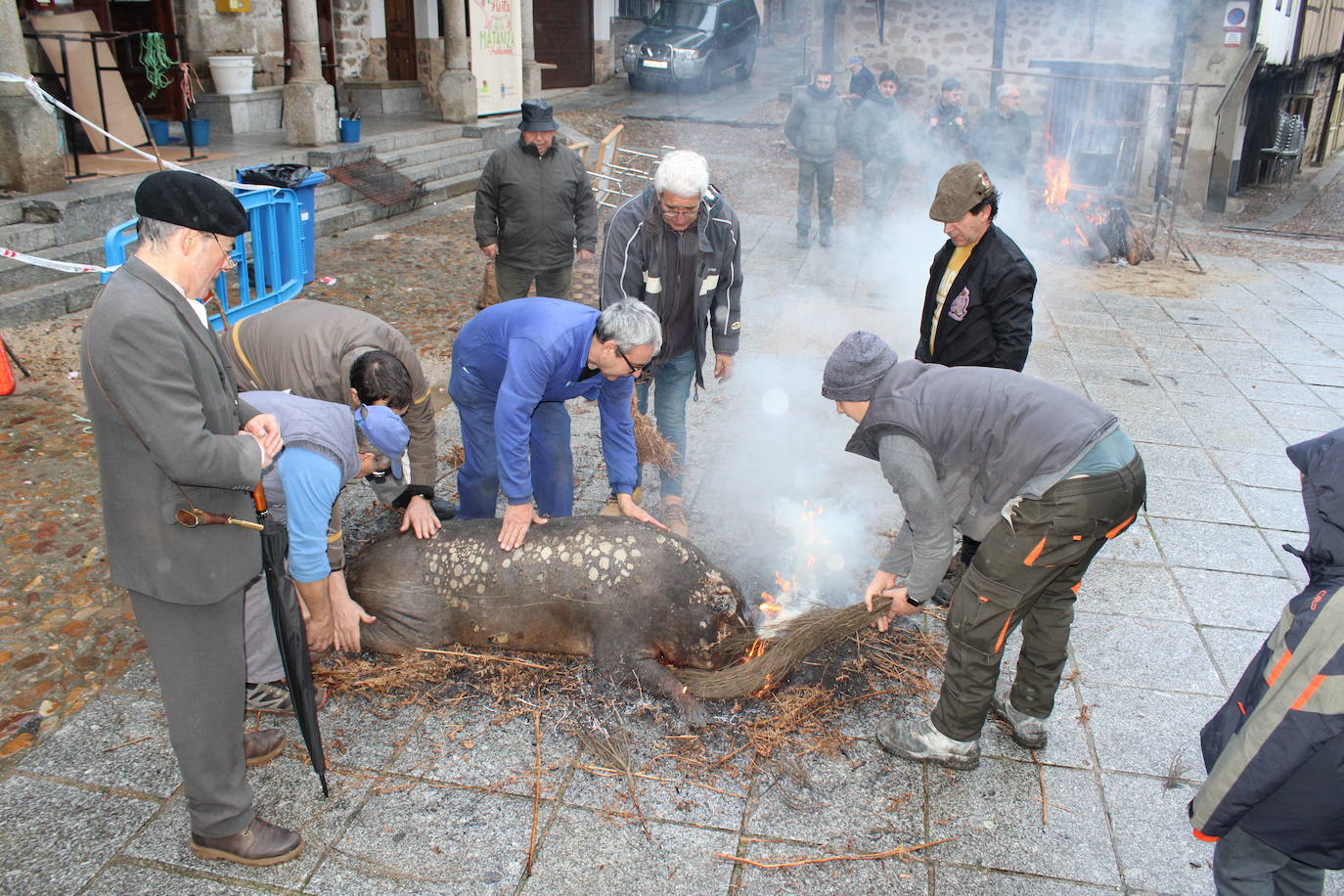 San Esteban de la Sierra disfruta de su matanza tradicional