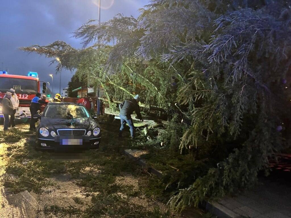 Un coche acaba aplastado por la caída de un pino a causa del fuerte viento en Alba de Tormes