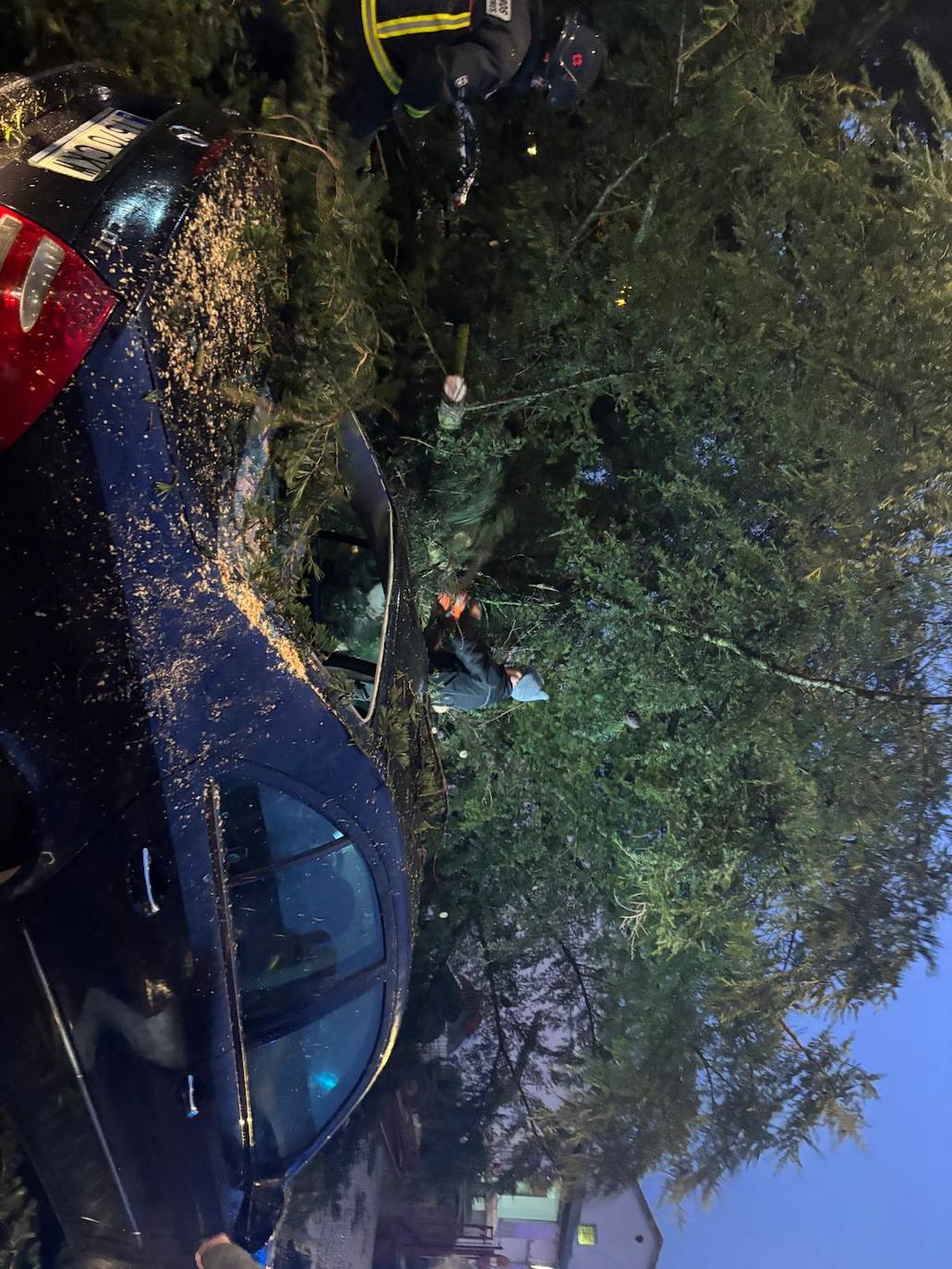 Un coche acaba aplastado por la caída de un pino a causa del fuerte viento en Alba de Tormes