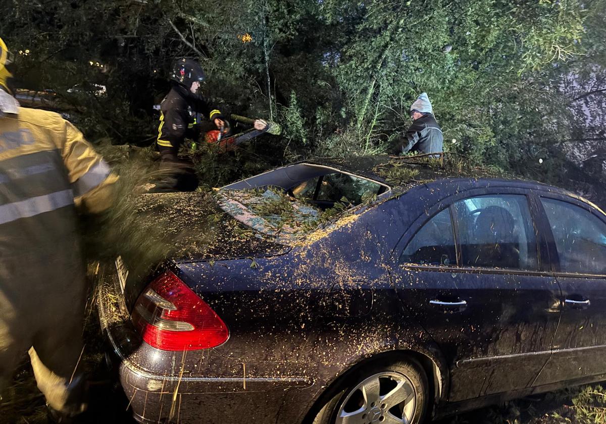 Caída de un árbol de grandes dimensiones sobre un coche en Alba deTormes.