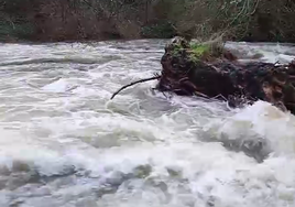 El río Cuerpo de Hombre, impresionante a su paso por Béjar