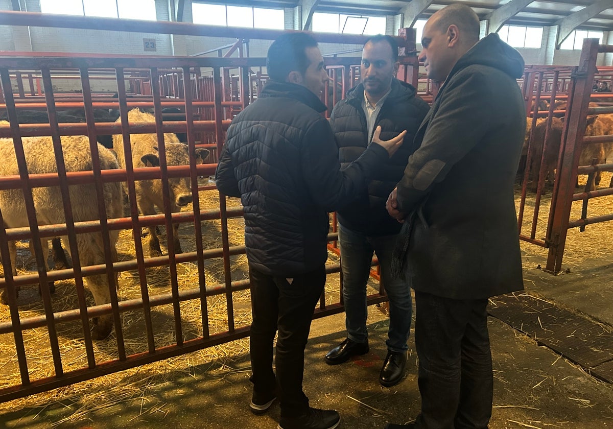 Los empresarios egipcios conversan con el presidente de los tratantes, que está de espaldas.