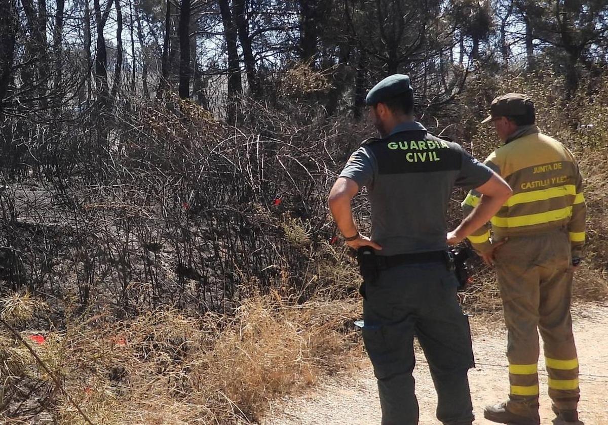 Imagen de un agente de un agente de la Guardia Civil y un agente forestal.