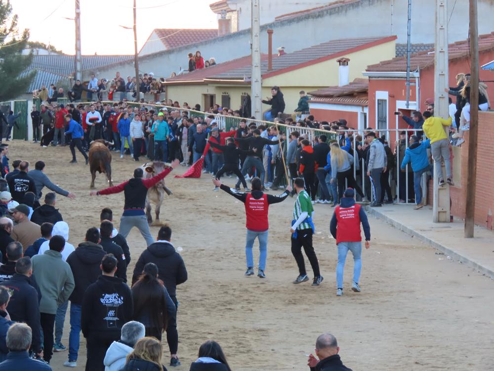 Bravura por las calles de Babilafuente