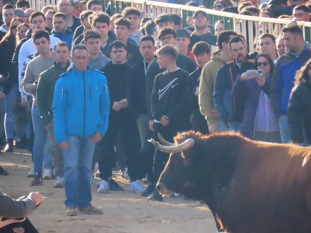 Bravura por las calles de Babilafuente