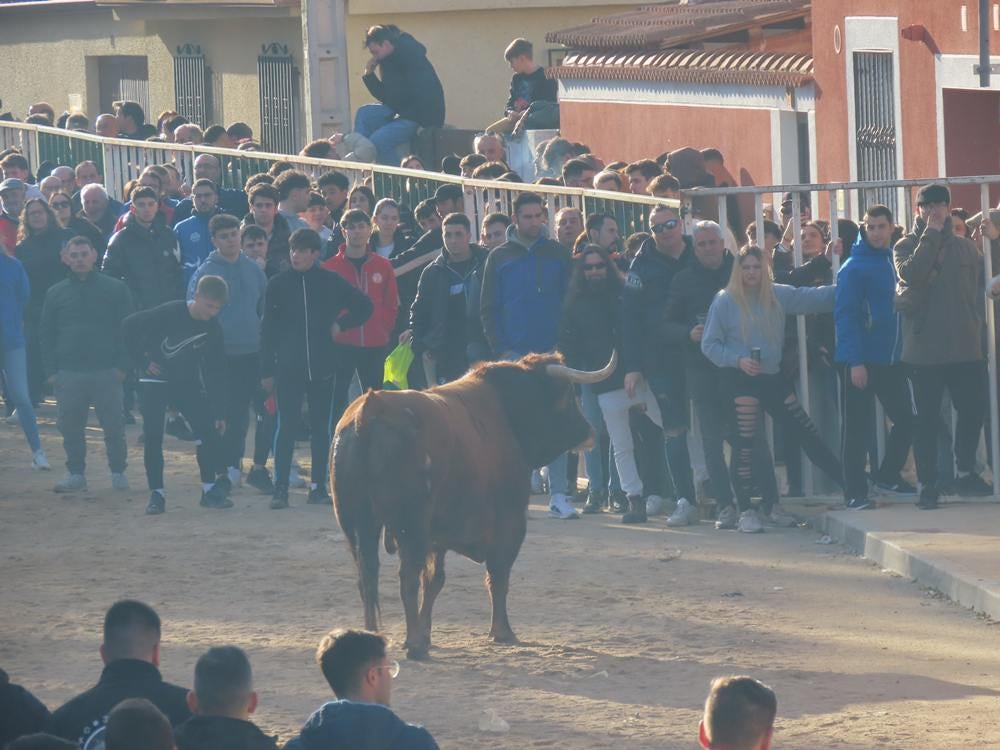 Bravura por las calles de Babilafuente