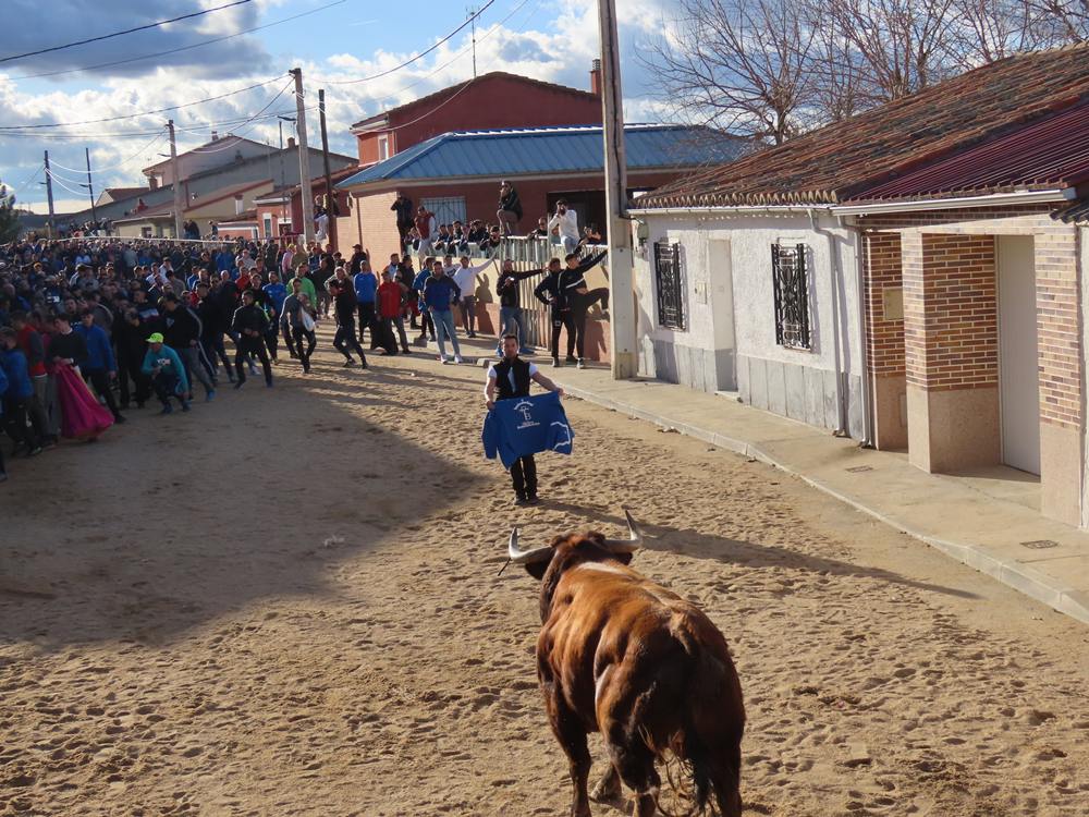 Bravura por las calles de Babilafuente