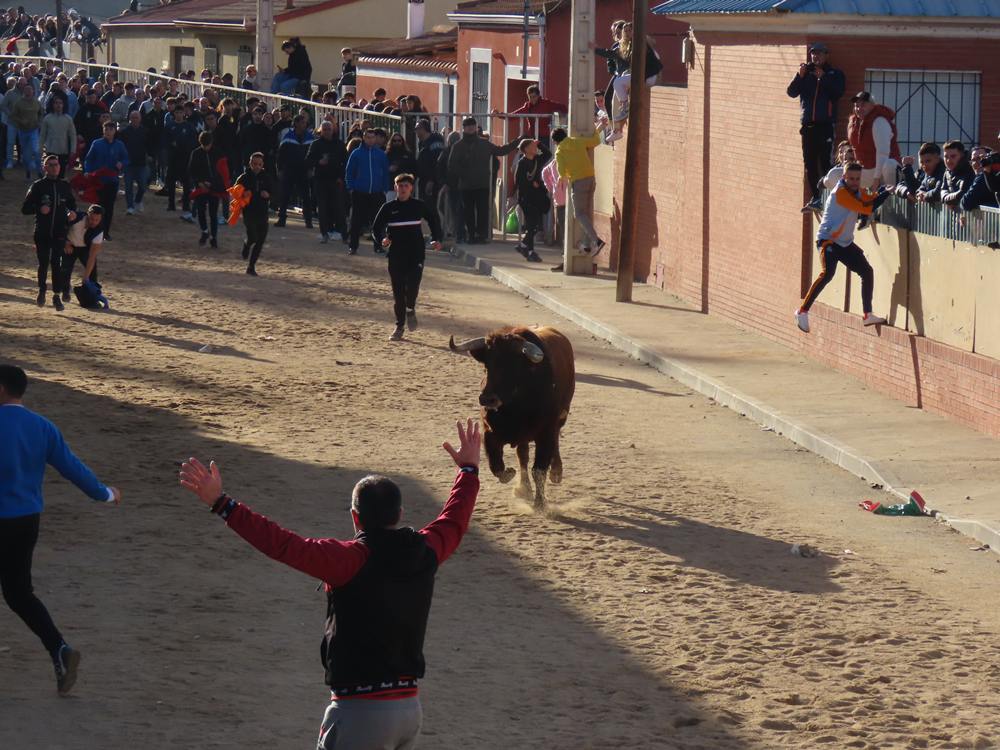 Bravura por las calles de Babilafuente