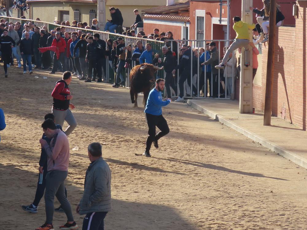 Bravura por las calles de Babilafuente