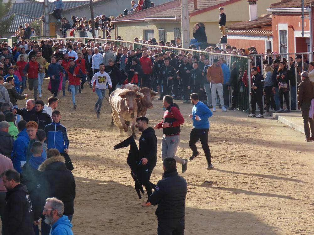 Bravura por las calles de Babilafuente