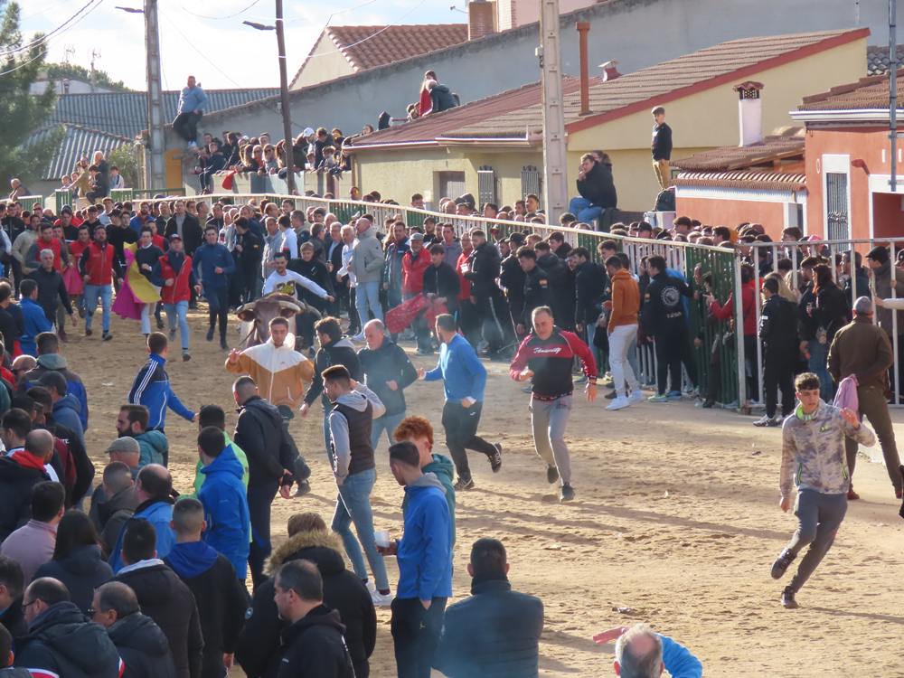 Bravura por las calles de Babilafuente