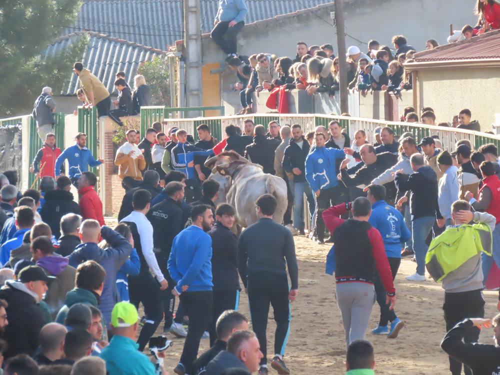 Bravura por las calles de Babilafuente