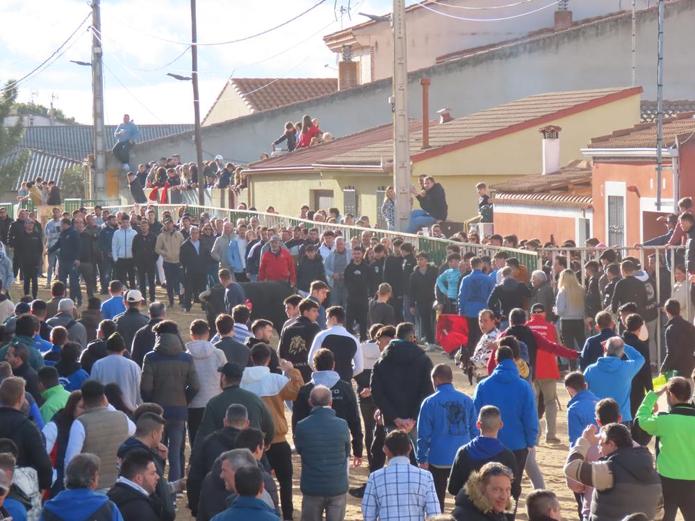 Bravura por las calles de Babilafuente