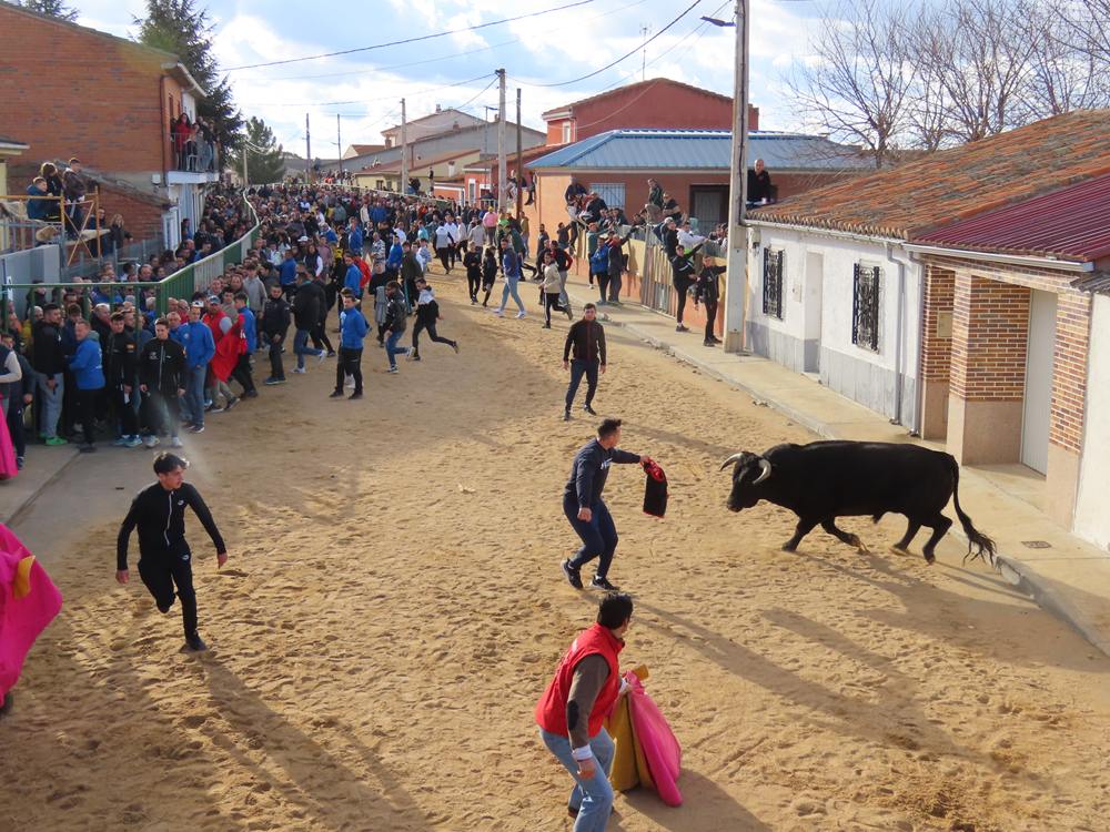 Bravura por las calles de Babilafuente