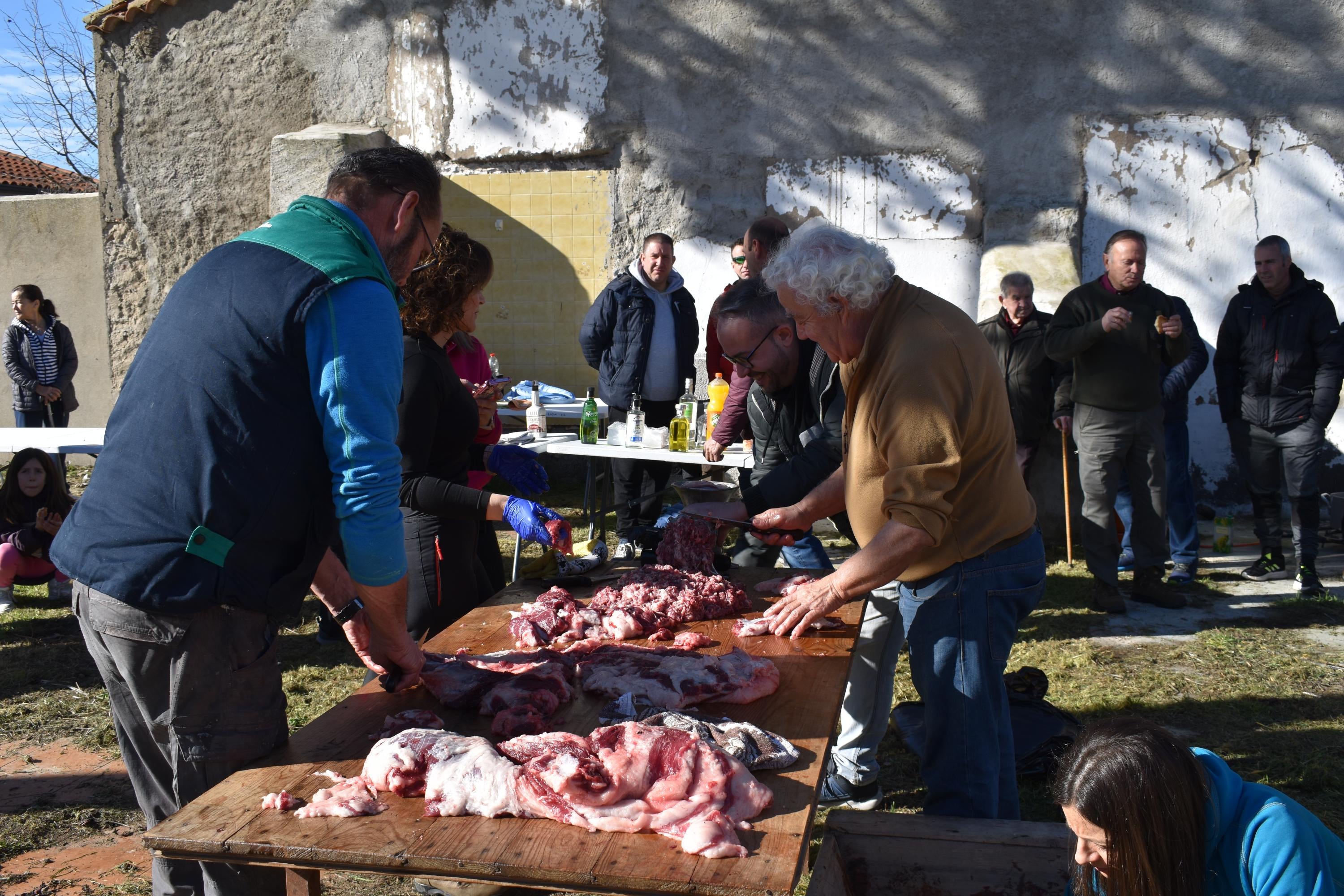 Un cerdo de 200 kilos protagoniza la matanza de Calzada de Valdunciel