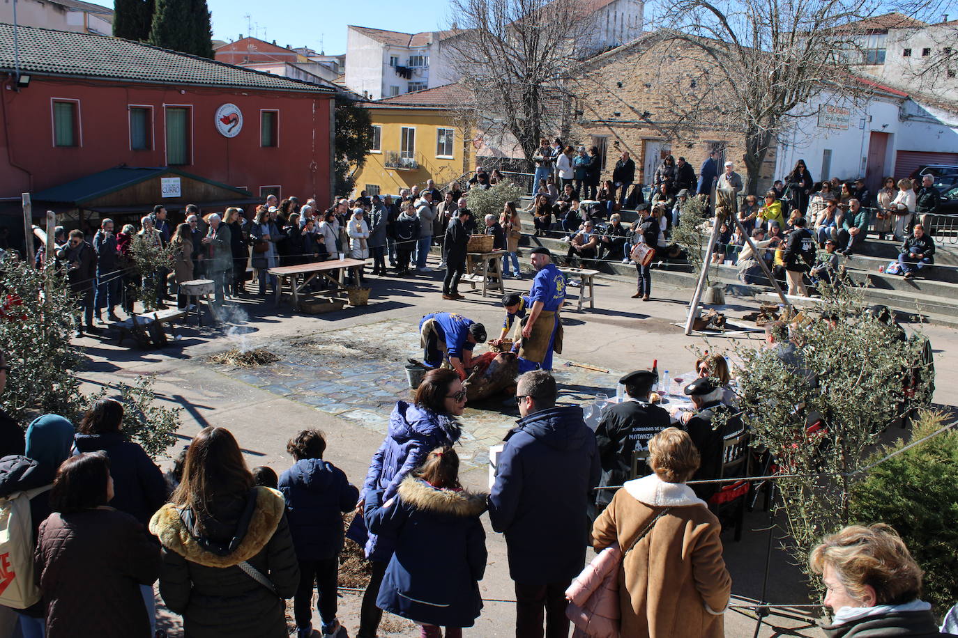 El sol acompaña la primera matanza de Guijuelo del año