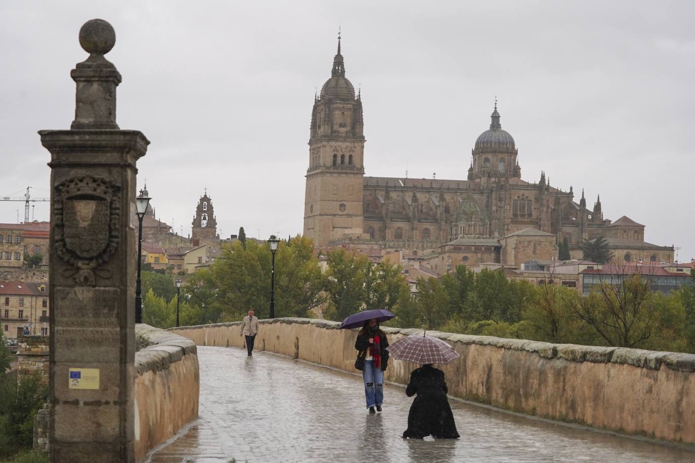 La Catedral de Salamanca vista desde el Puente Romano.