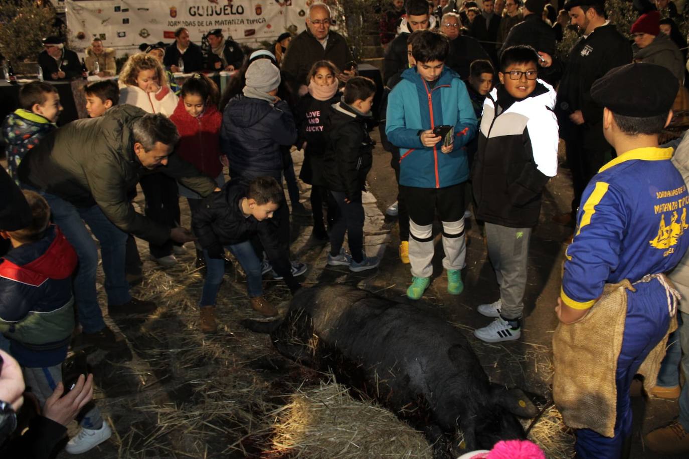 Guijuelo disfruta de su matanza nocturna